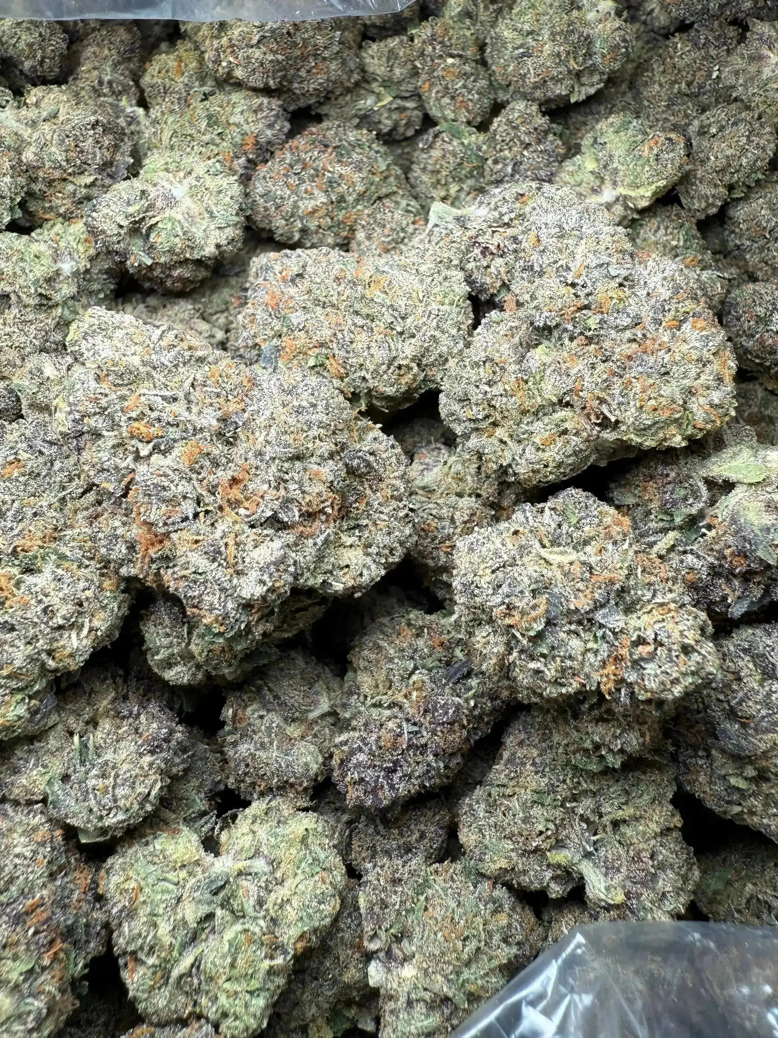 ½ oz Gush Mints THCA Flower - Image 4