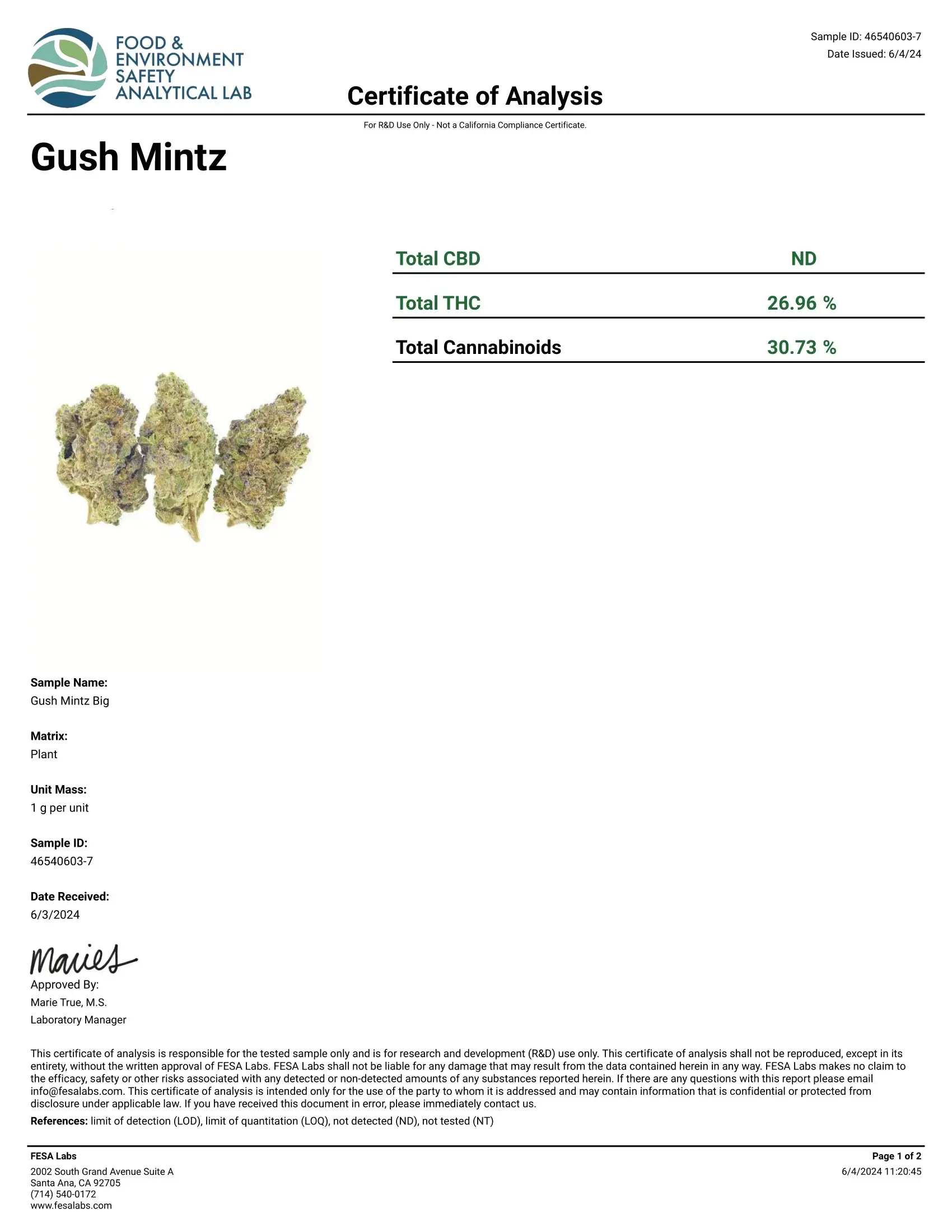 ½ oz Gush Mints THCA Flower - Image 5